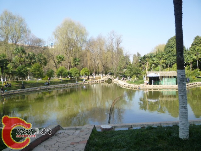 P1040599.JPG