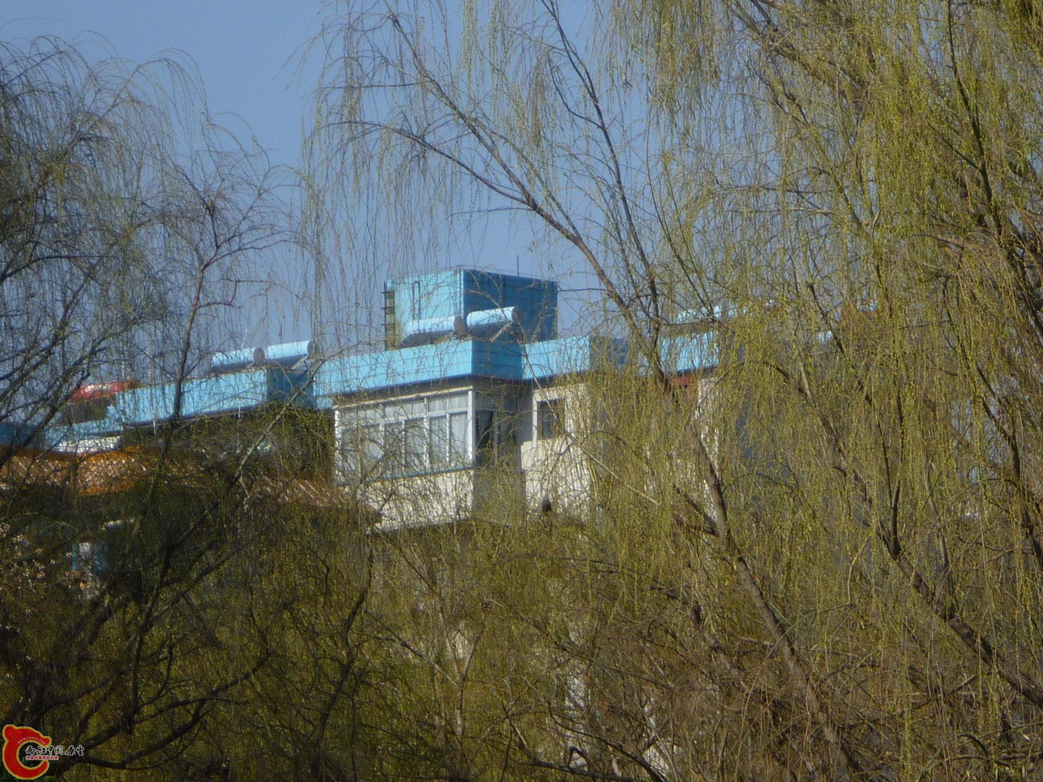 P1040607.JPG