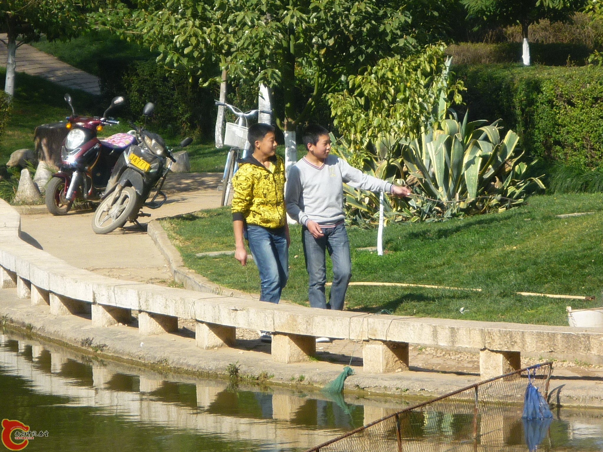 P1040610.JPG