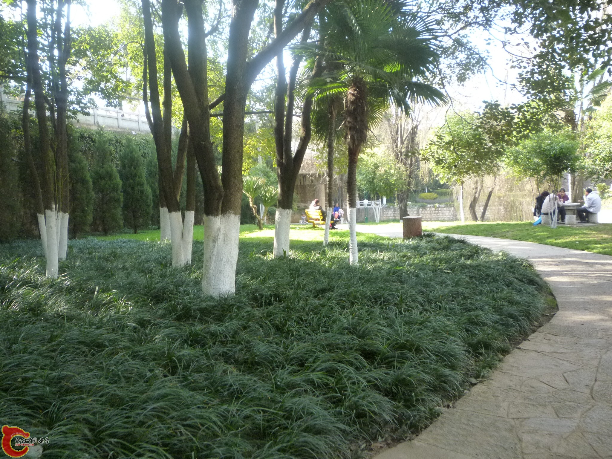 P1040613.JPG