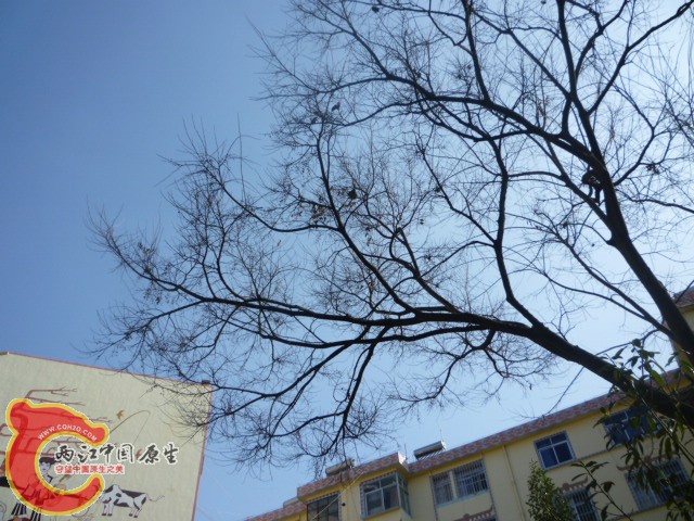 P1040616.JPG