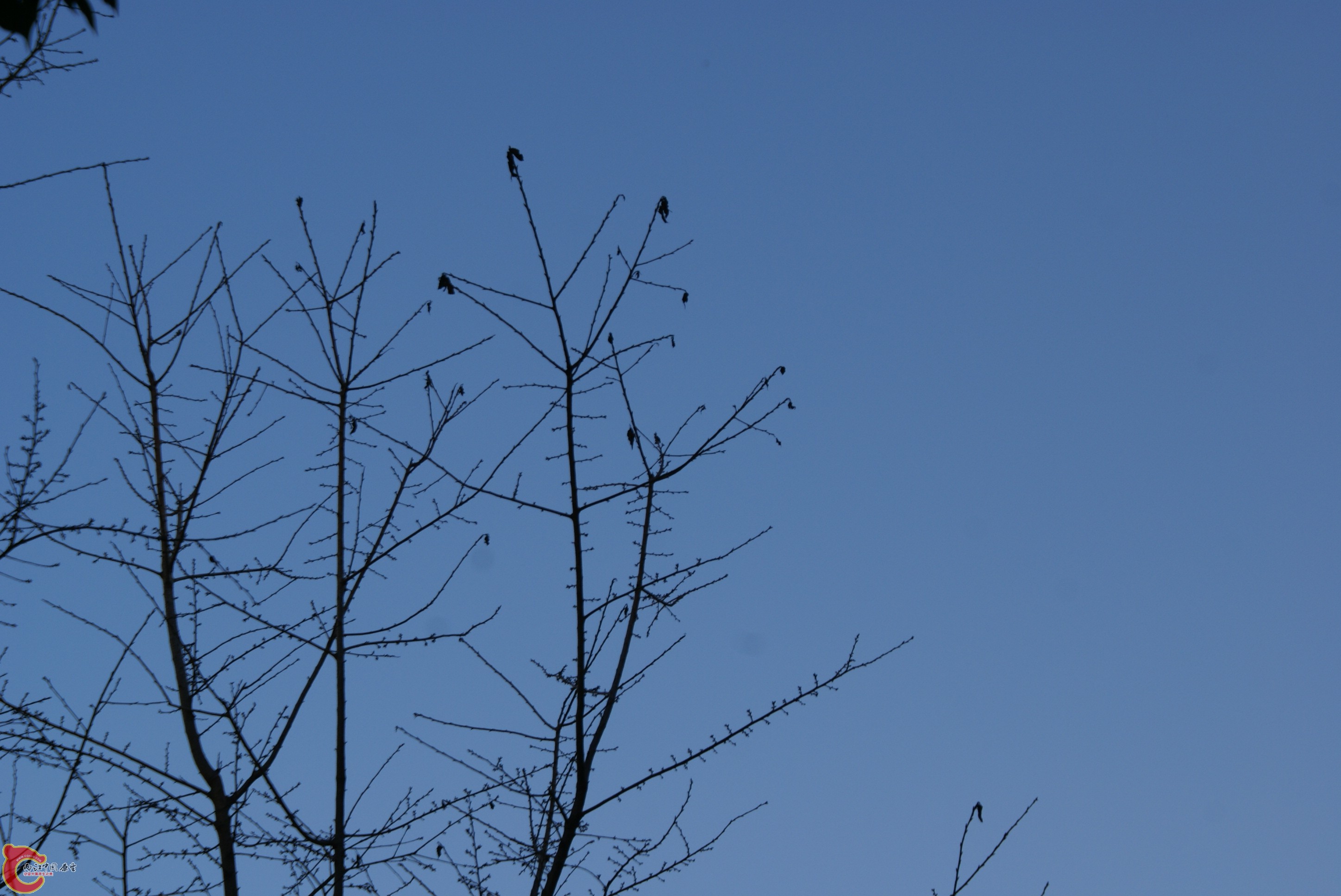 DSC07292.JPG