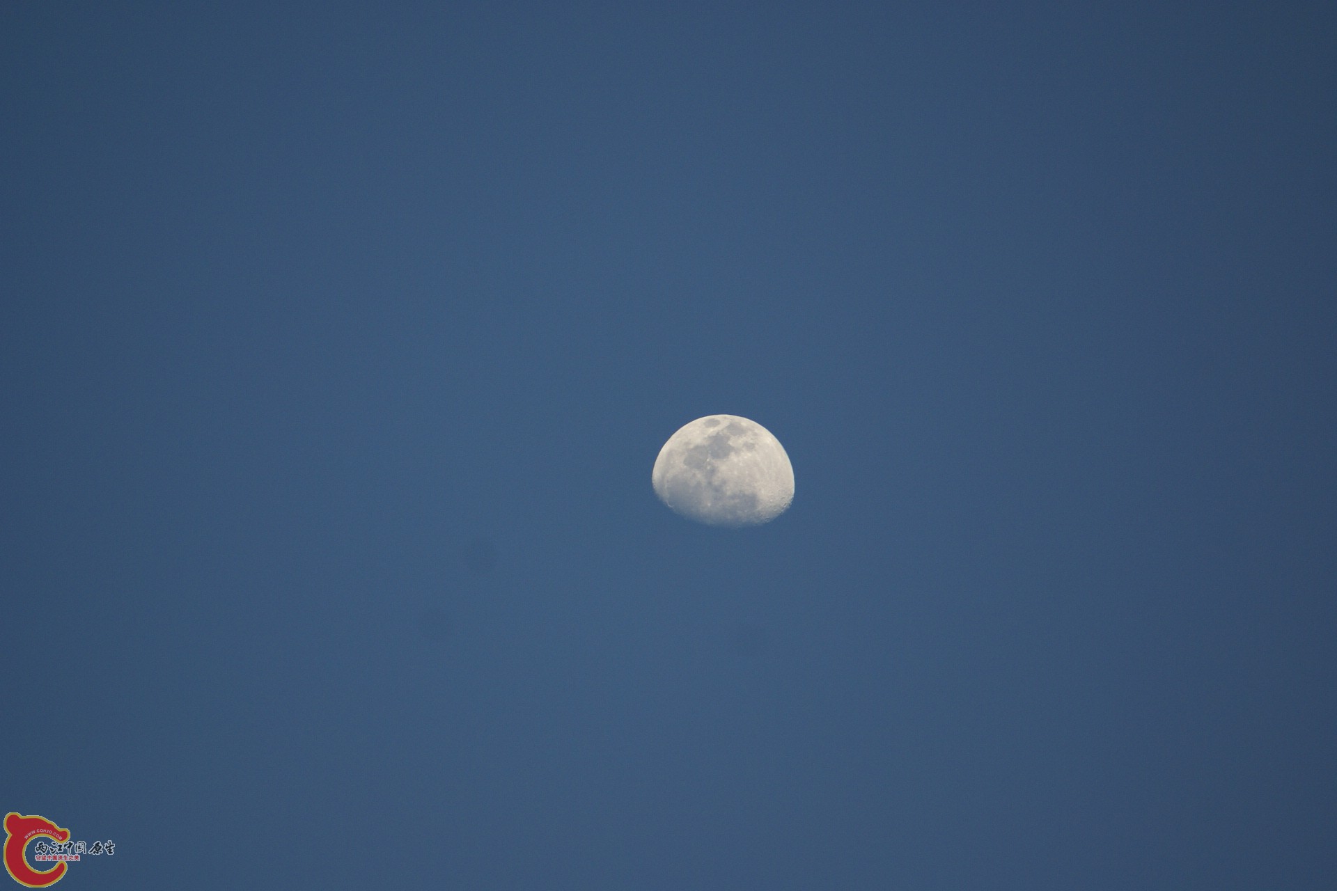 DSC07295.JPG