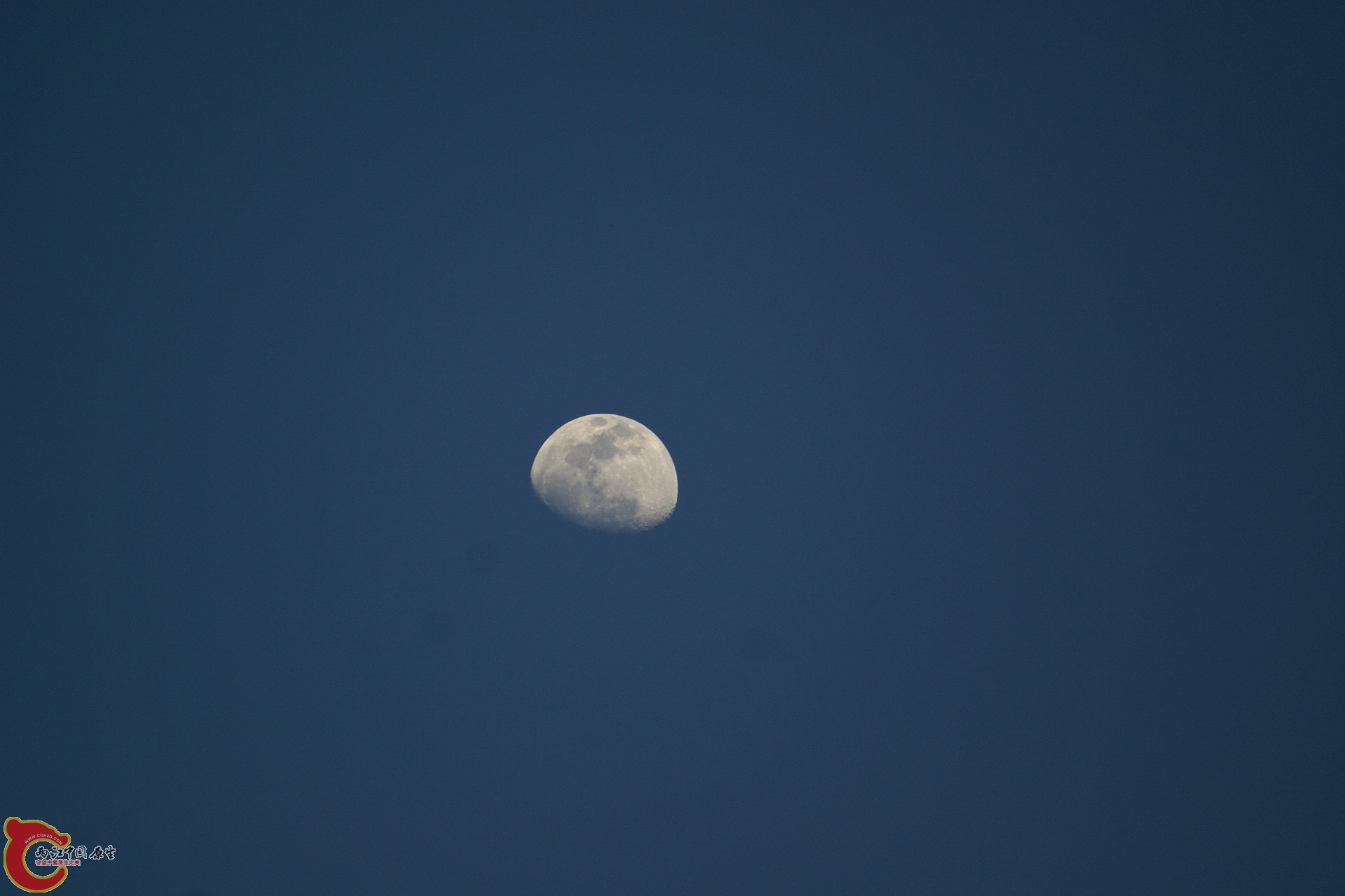 DSC07302.JPG