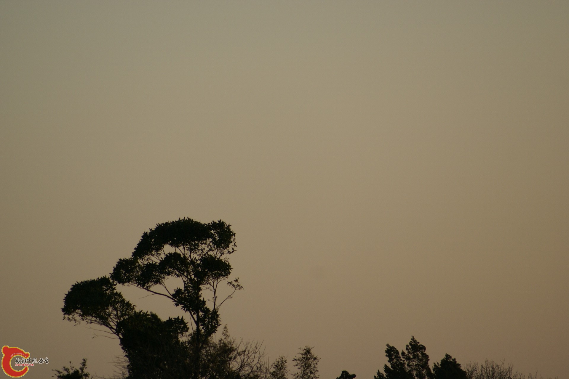 DSC07303.JPG
