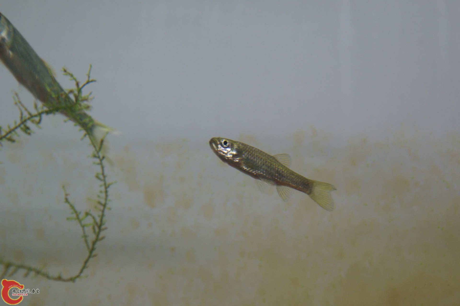 DSC07316.JPG