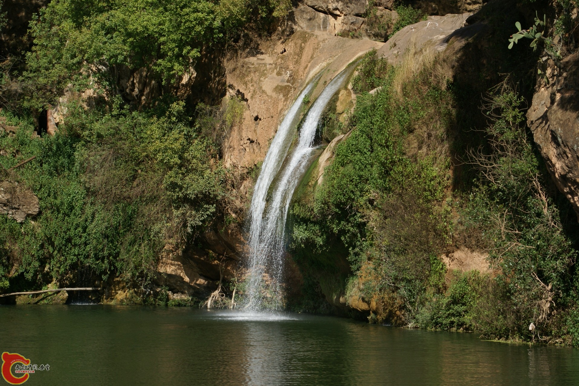 DSC07341.JPG