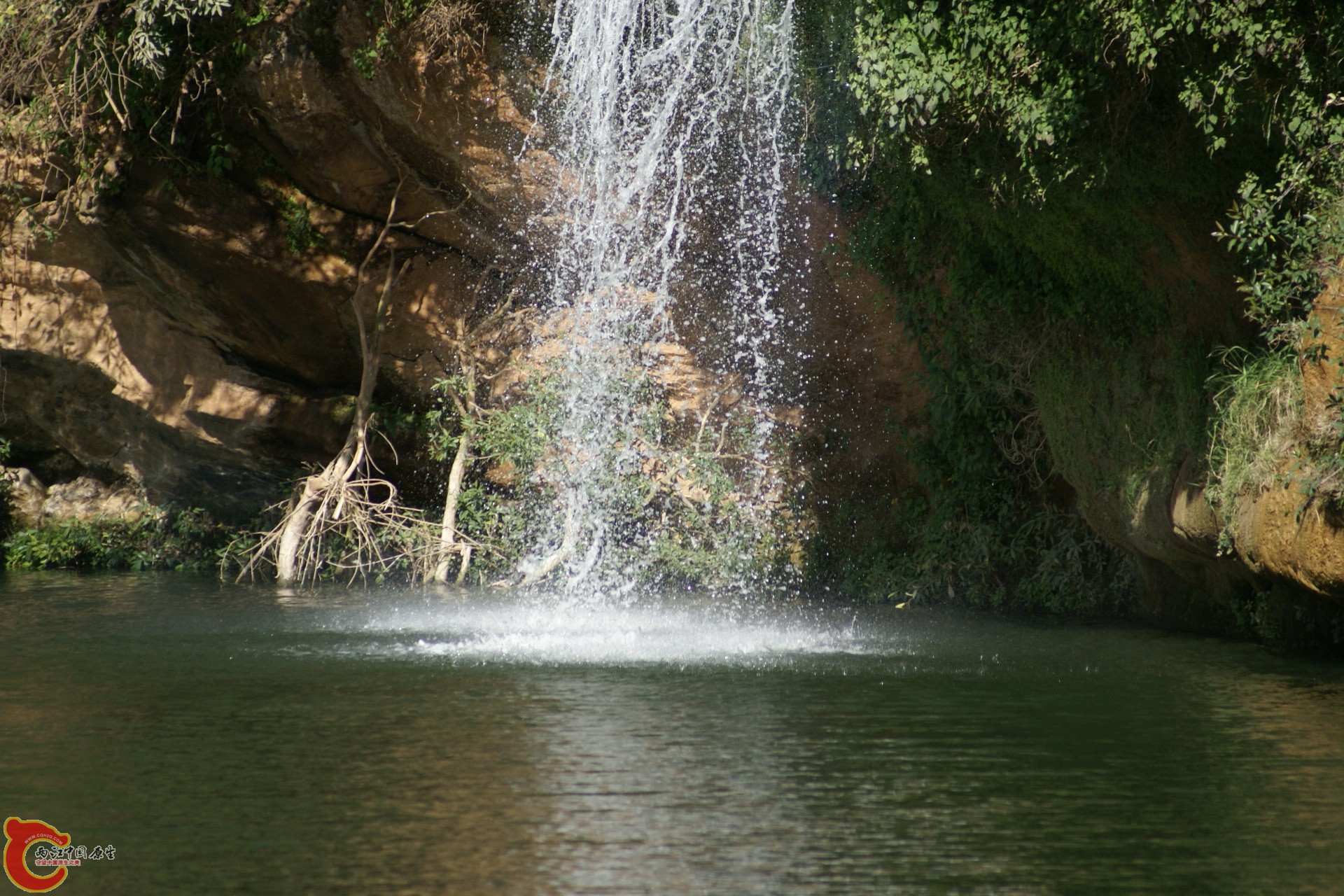 DSC07342.JPG