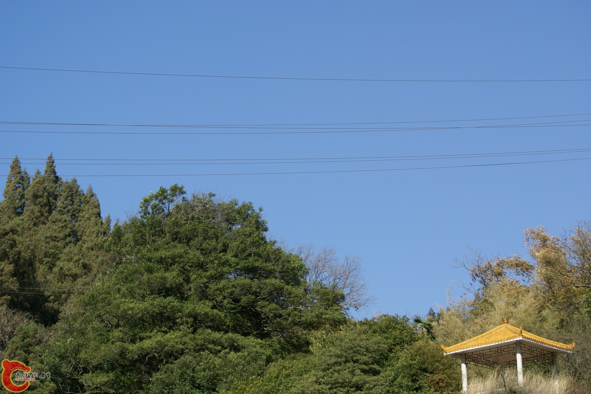 DSC07344.JPG