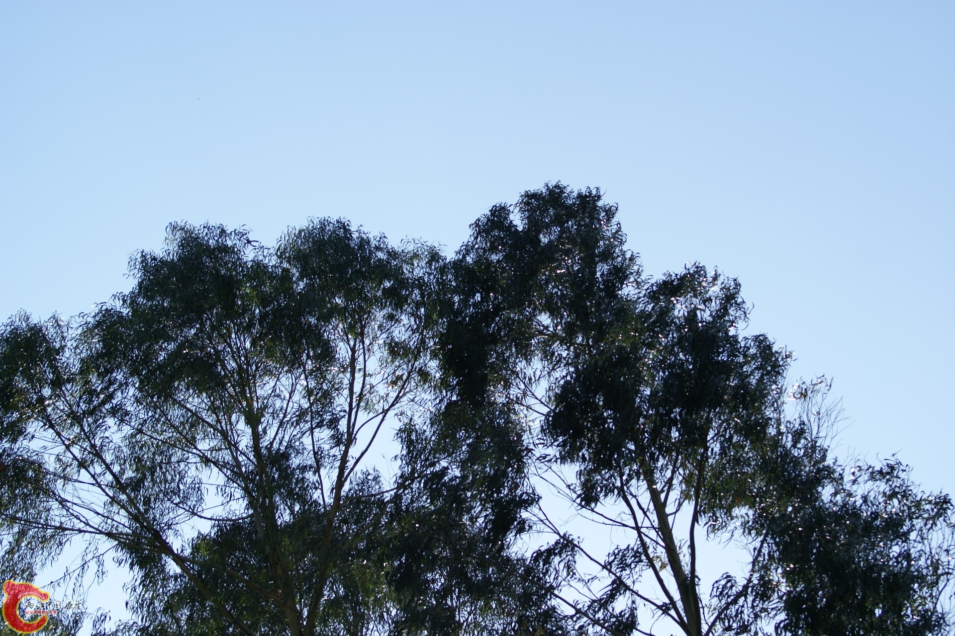 DSC07345.JPG