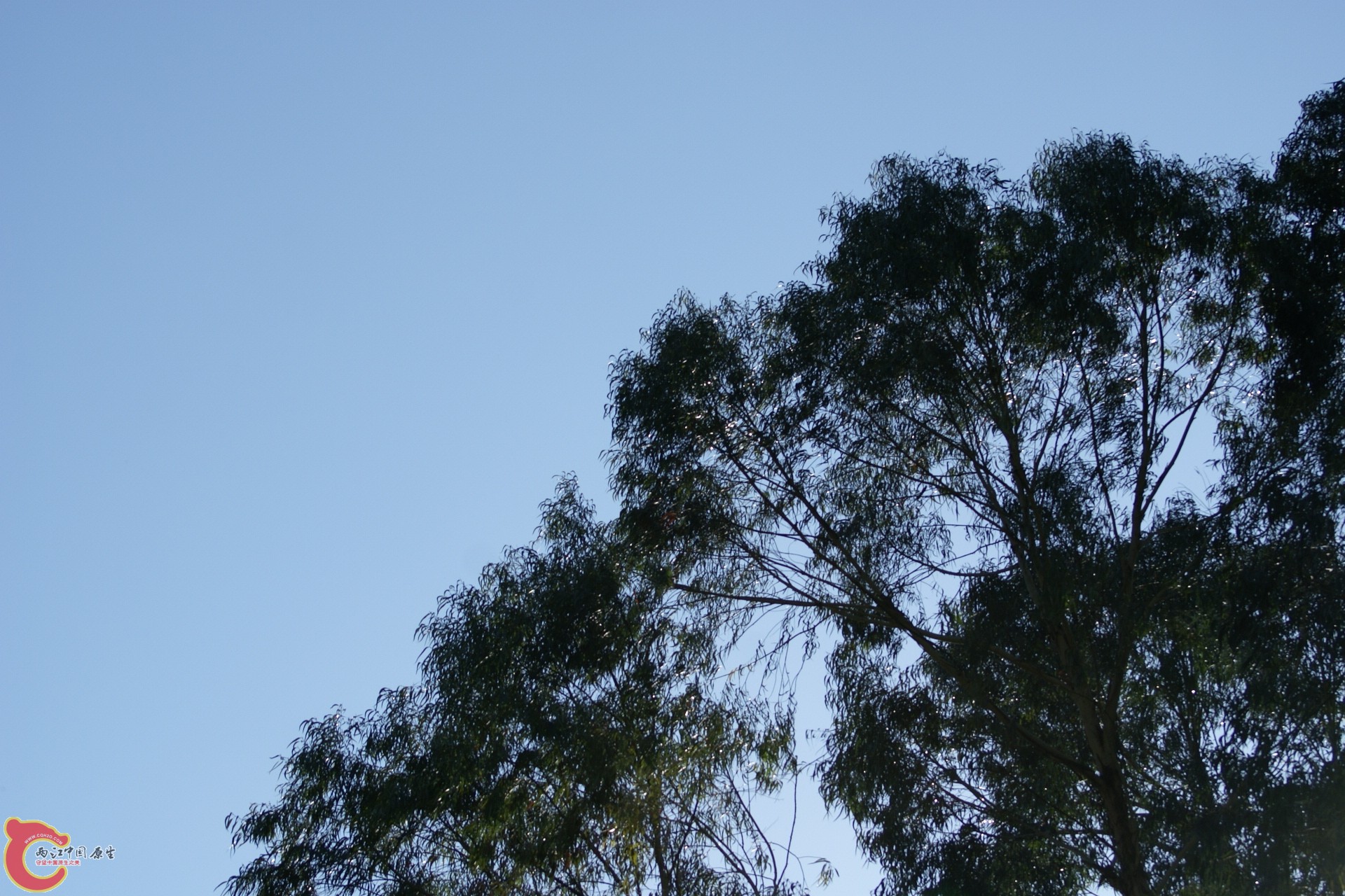 DSC07346.JPG