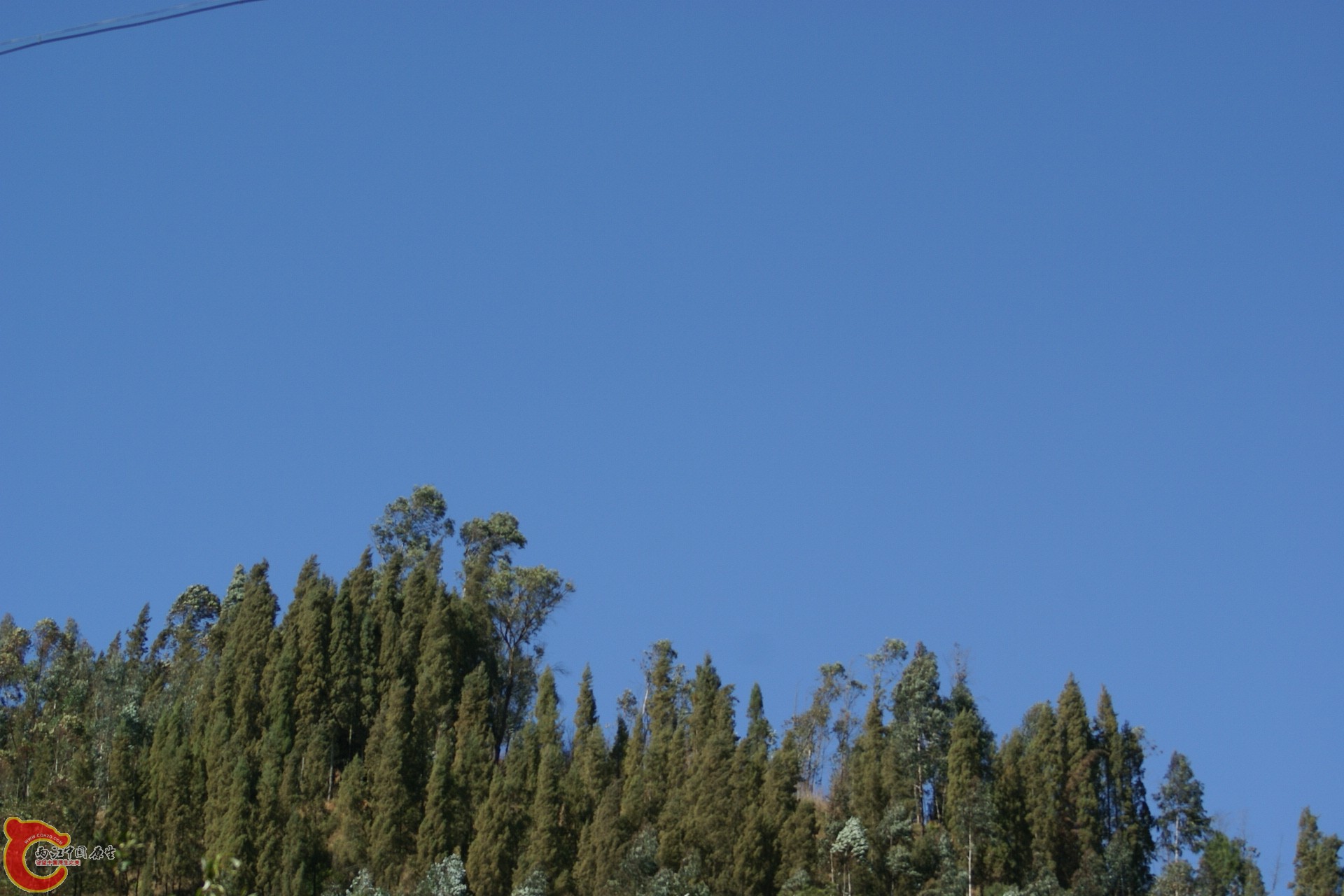 DSC07347.JPG