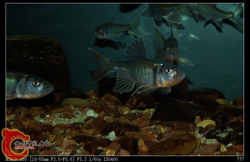 nEO_IMG_DSC_2949a.jpg