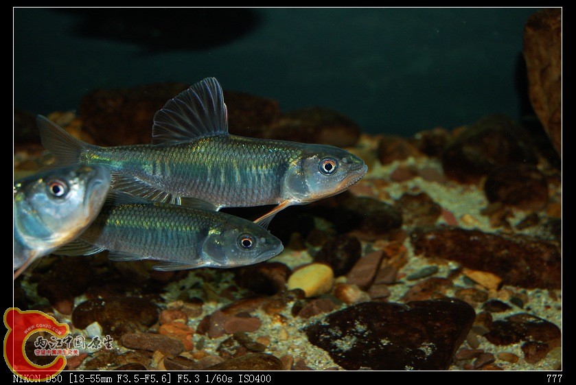 nEO_IMG_DSC_2958.jpg