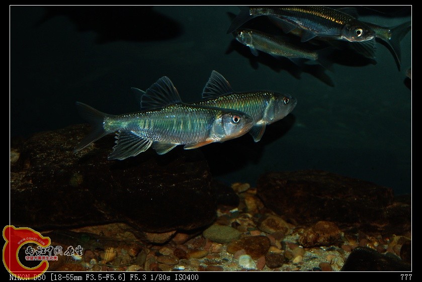 nEO_IMG_DSC_2968.jpg
