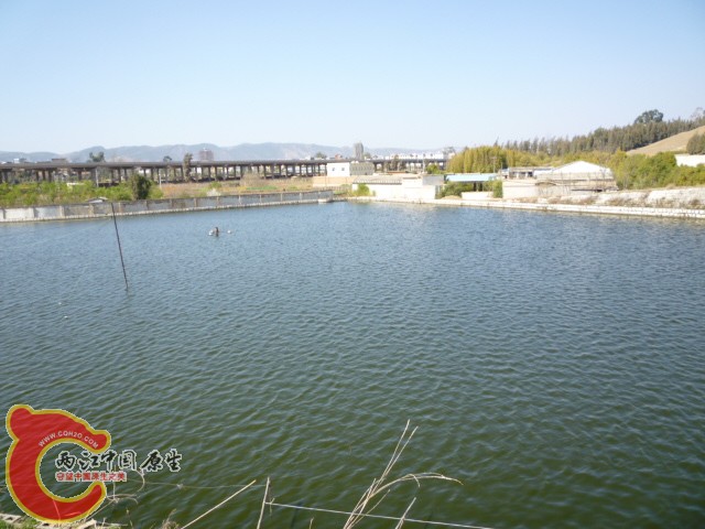 P1040620.JPG
