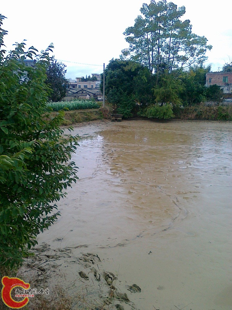 20120203542.jpg