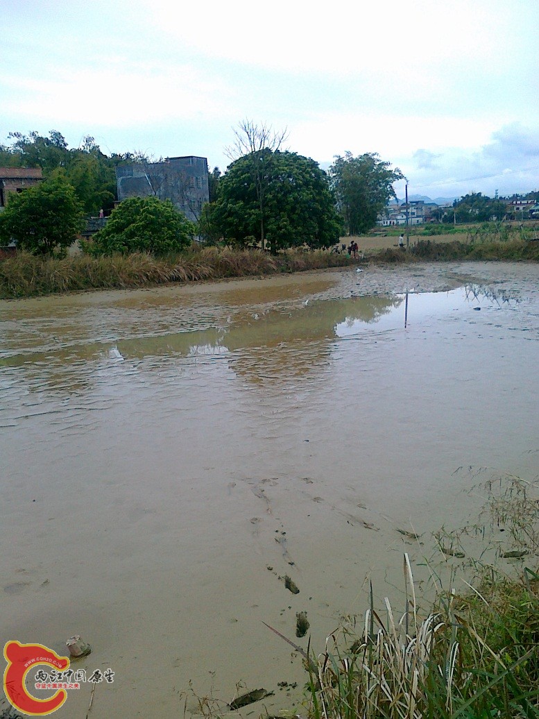 20120203541.jpg
