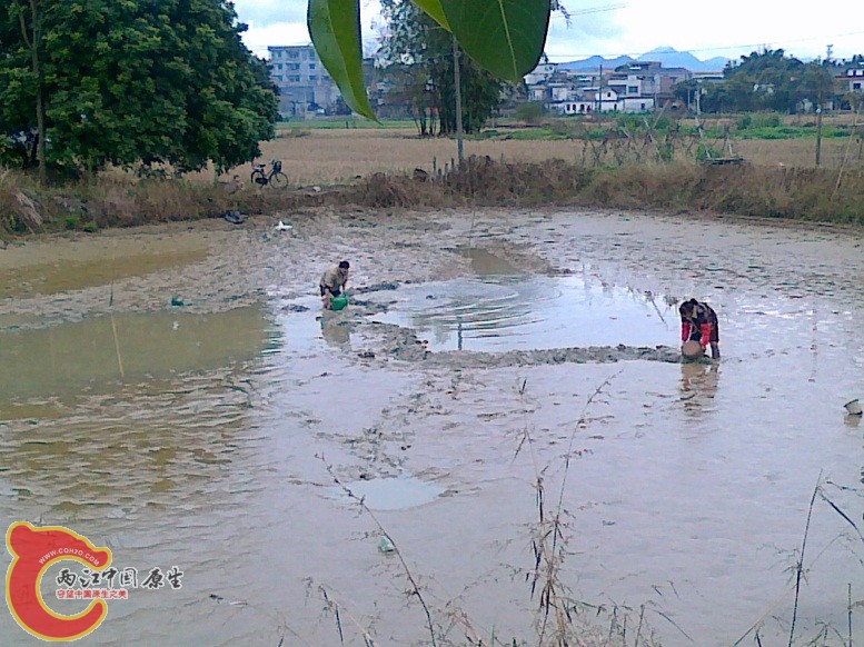 20120203543.jpg