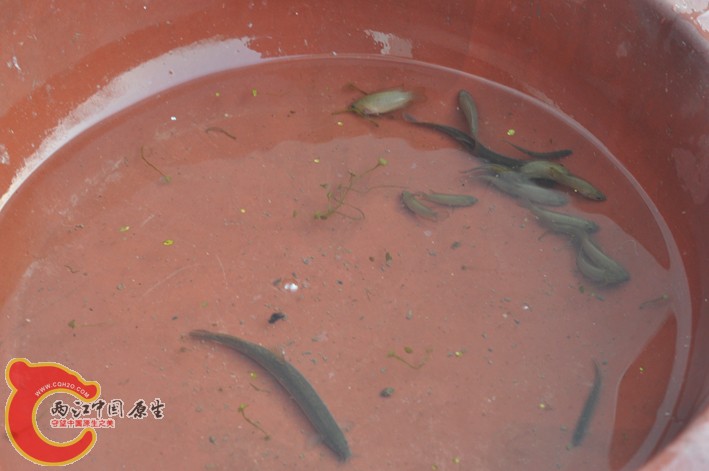 照片 113.jpg