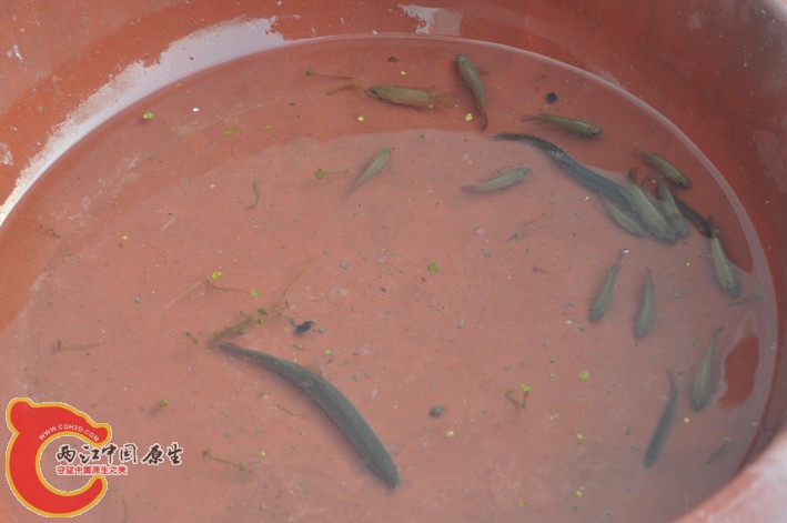 照片 114.jpg