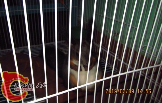 U3[V)T{FTHJU10KP2KUR[)9.jpg