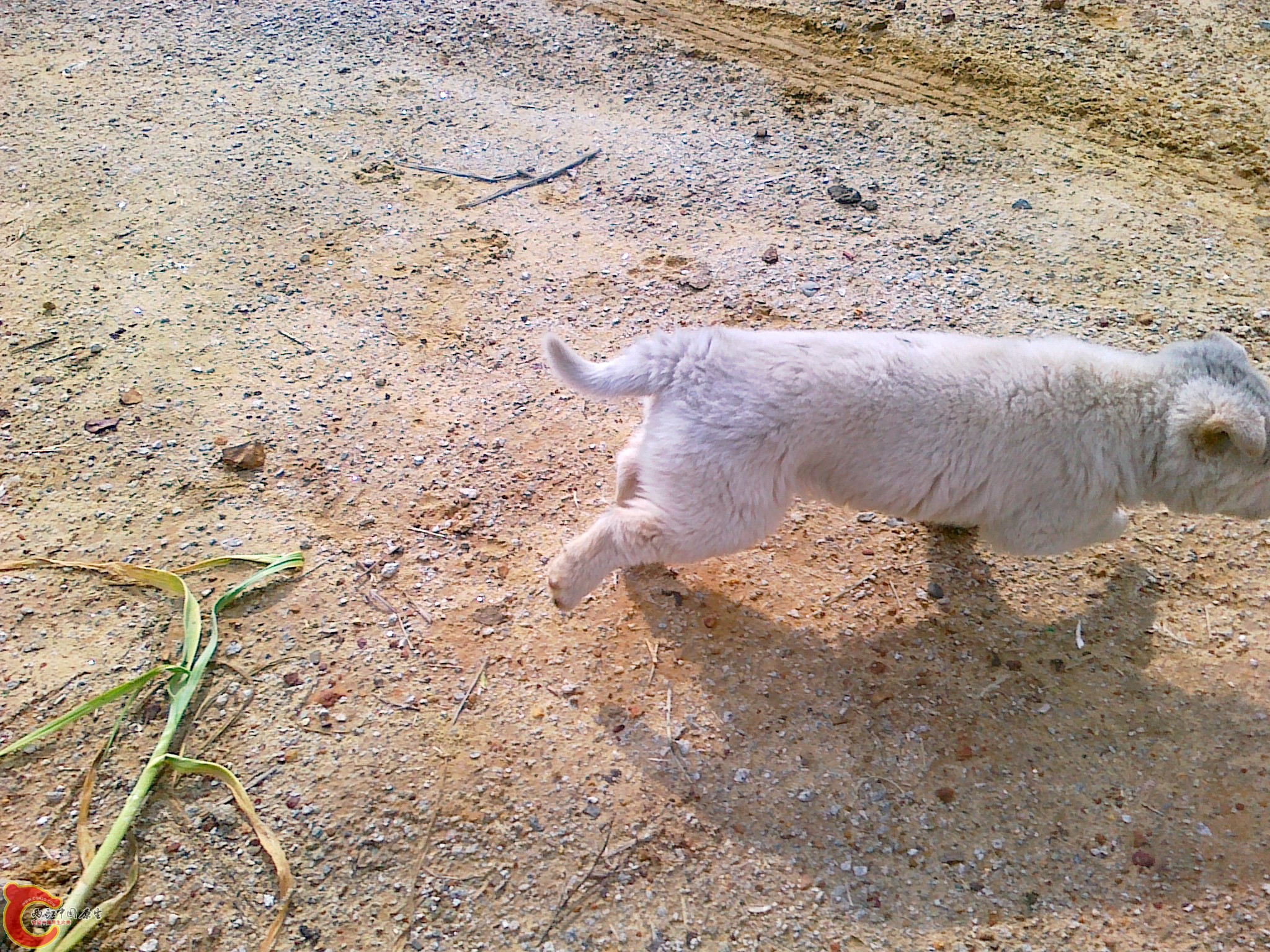 20120207549.jpg
