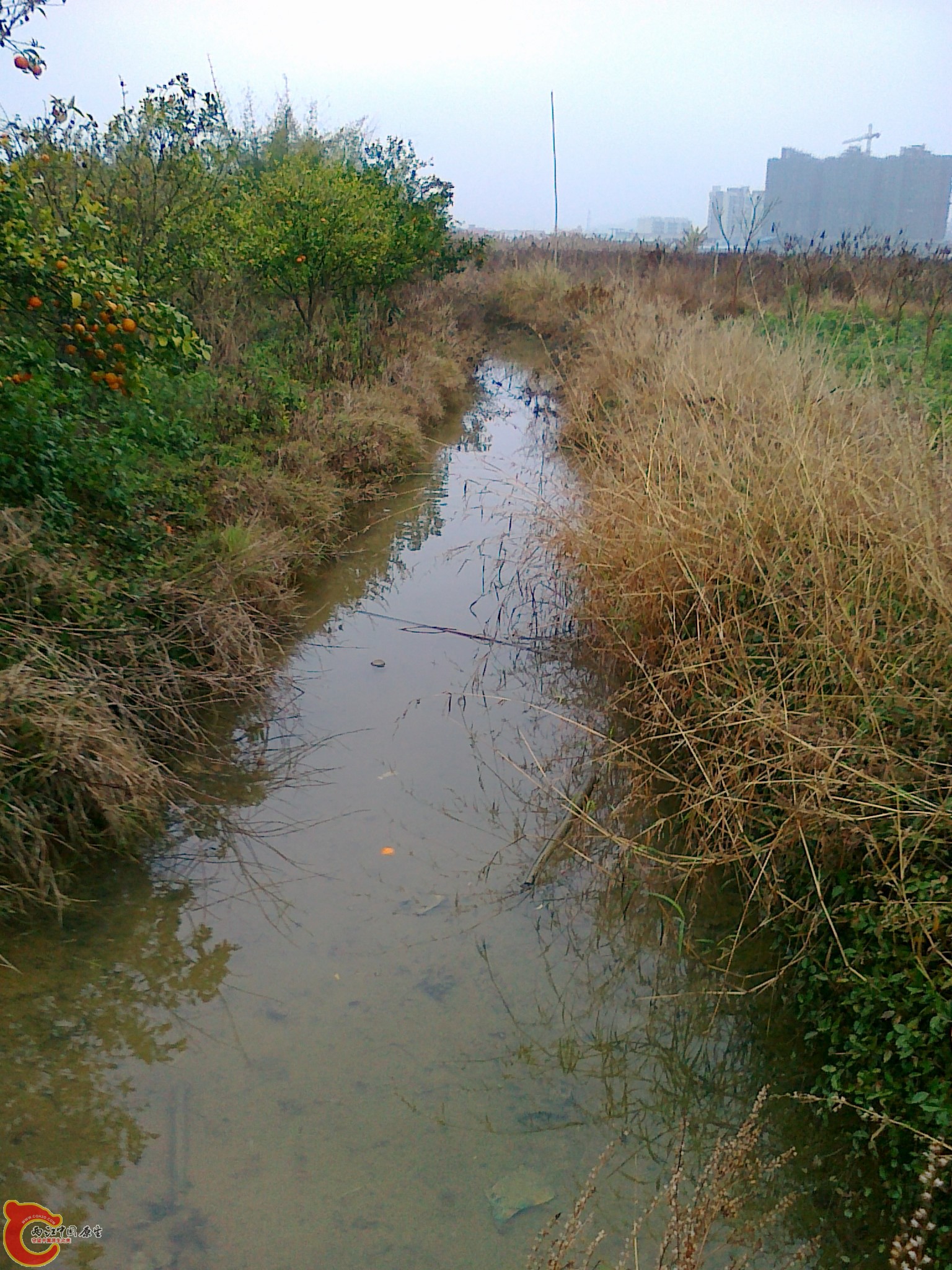 20120210552.jpg