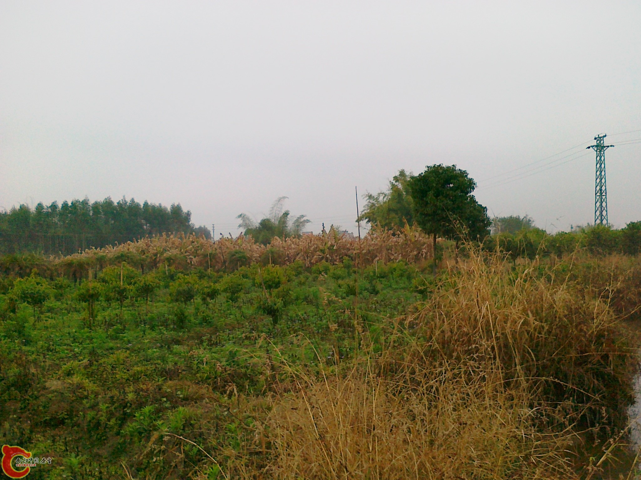 20120210554.jpg