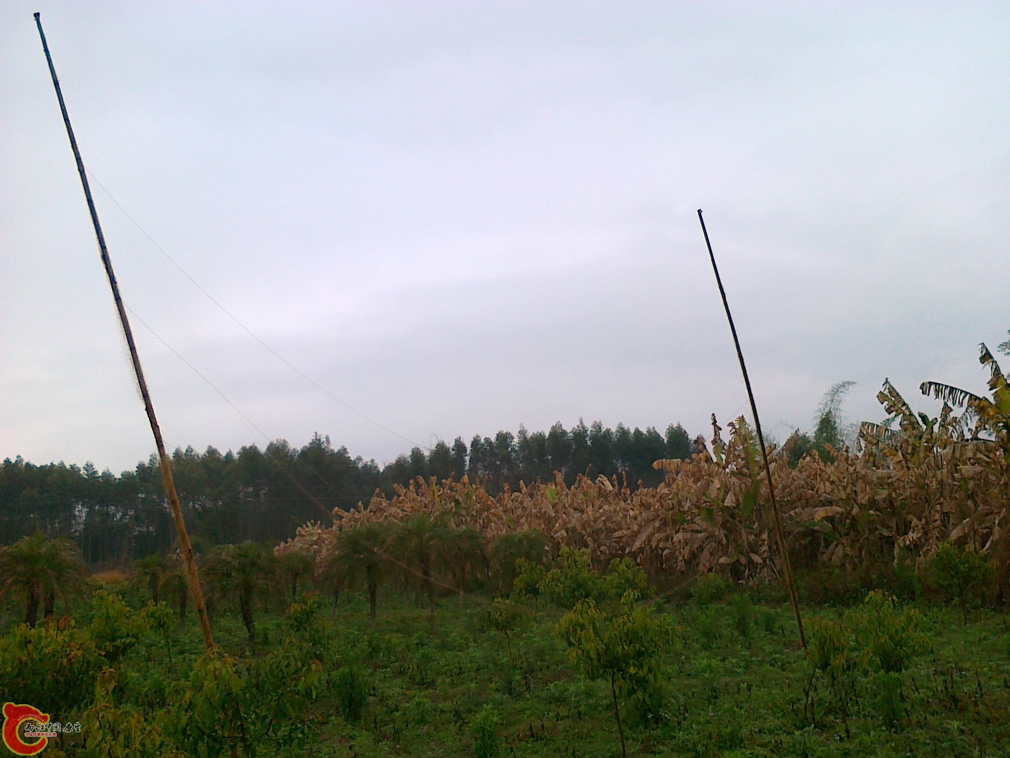 20120210556.jpg