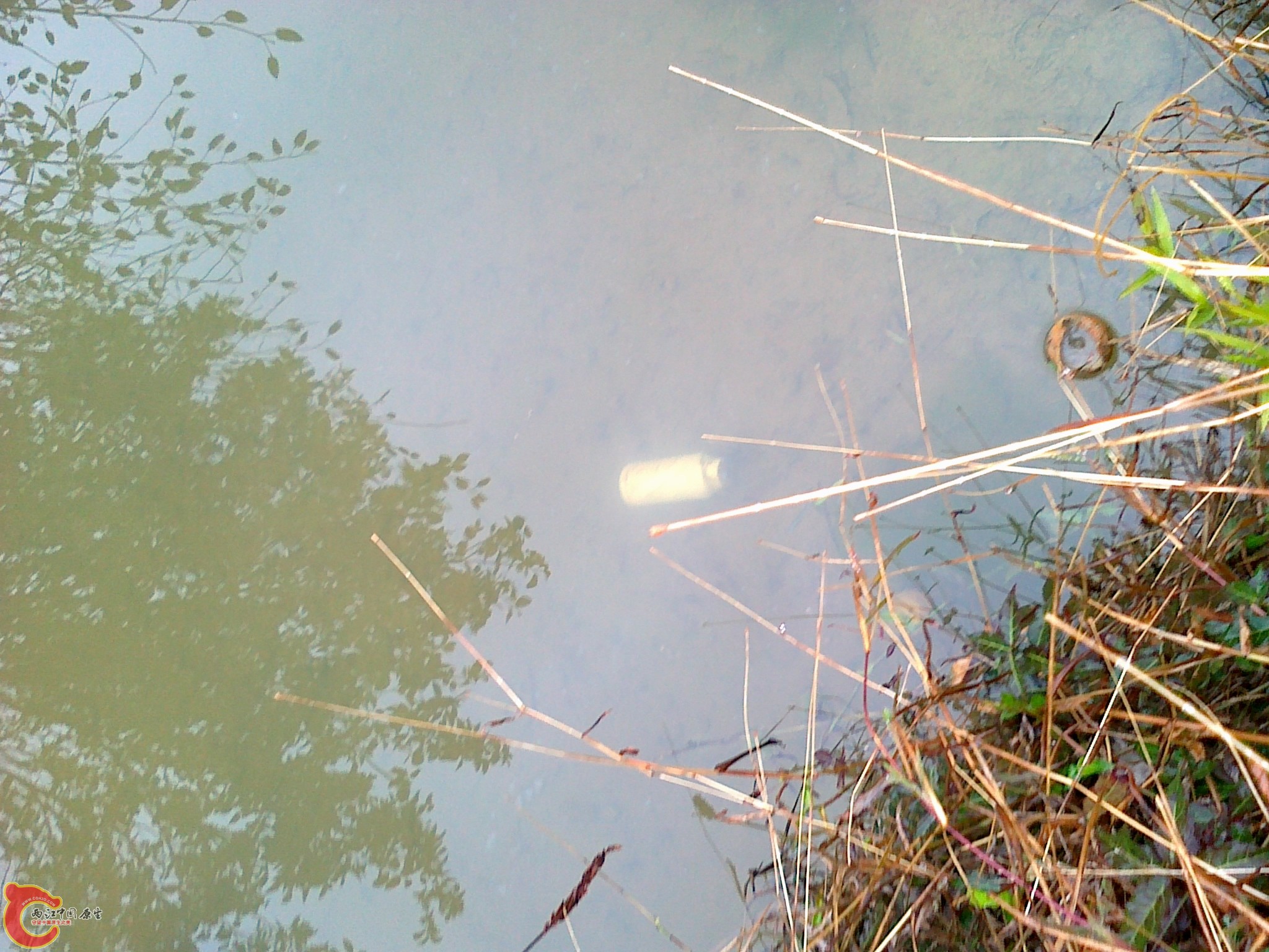 20120210558.jpg