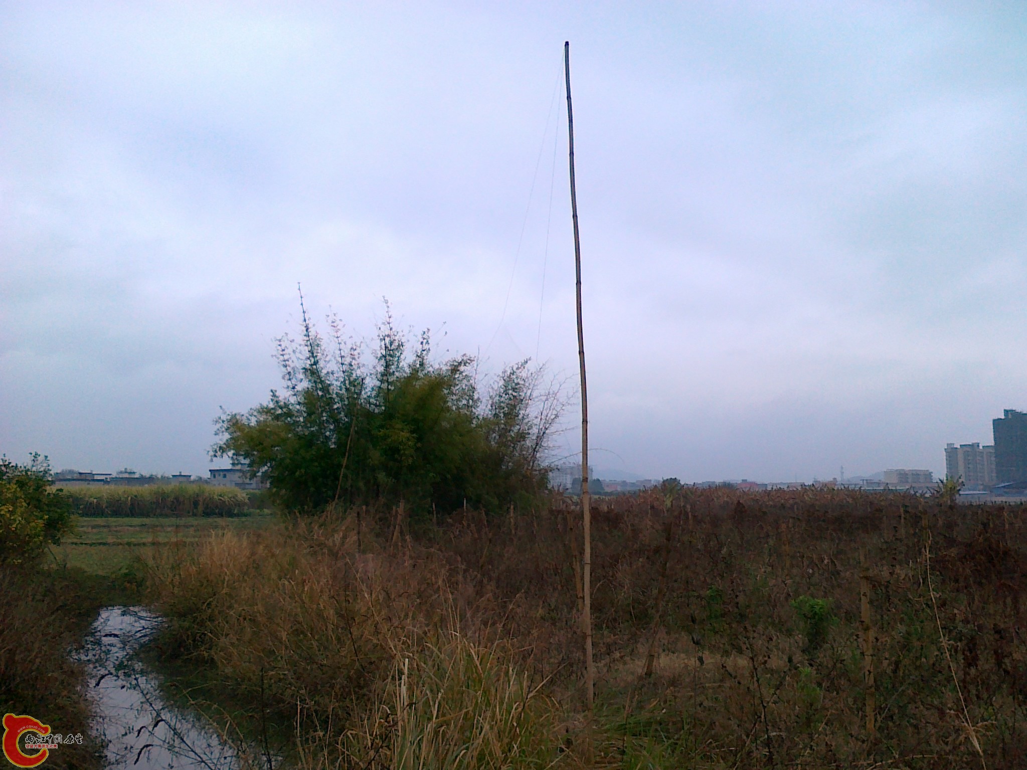 20120210559.jpg