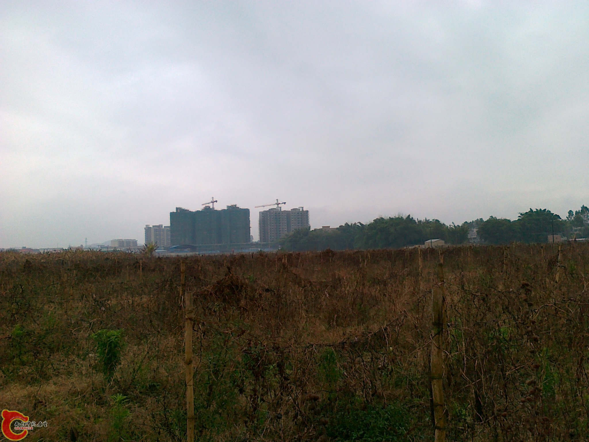 20120210561.jpg