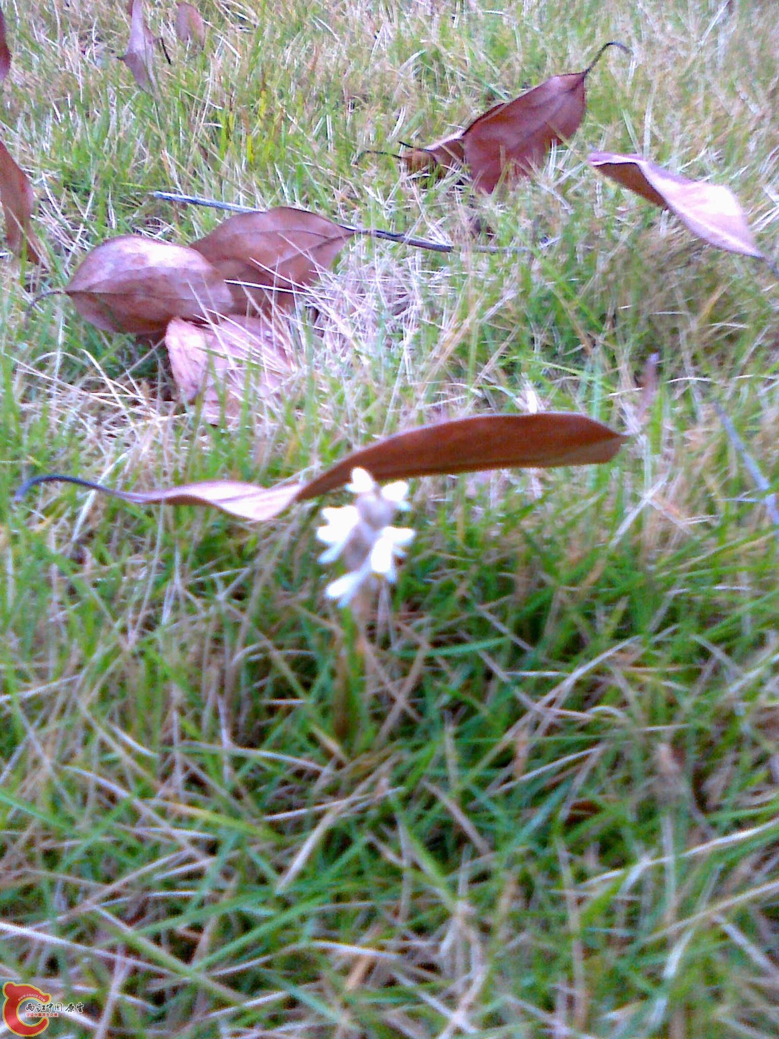 20120210568.jpg