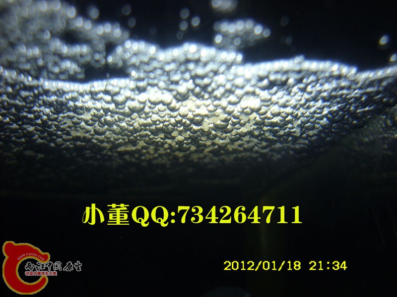 SN850686.jpg