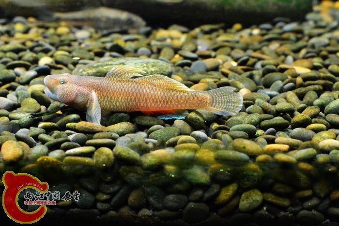 nEO_IMG_DSC_0441.jpg