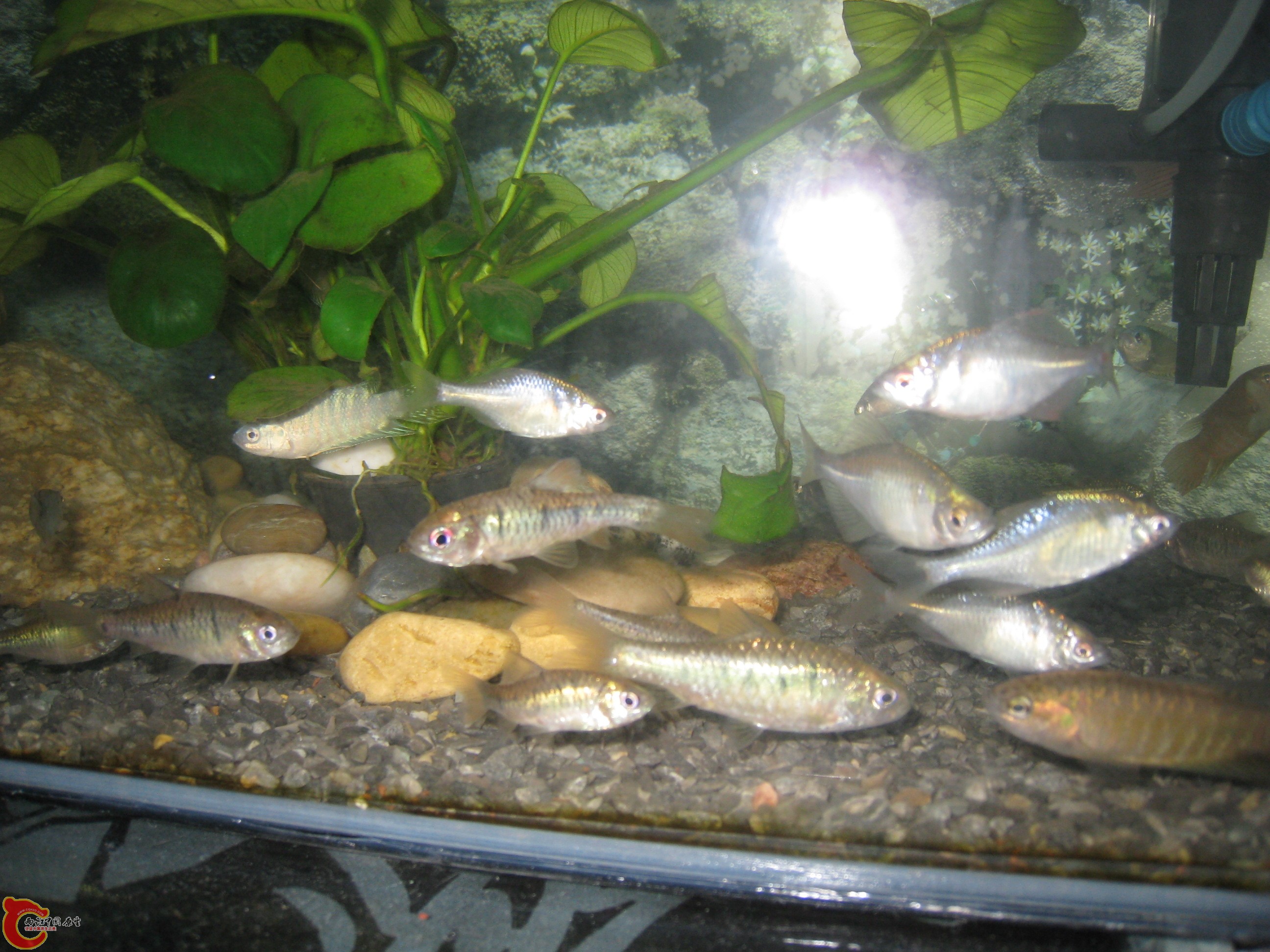 IMG_5197.jpg