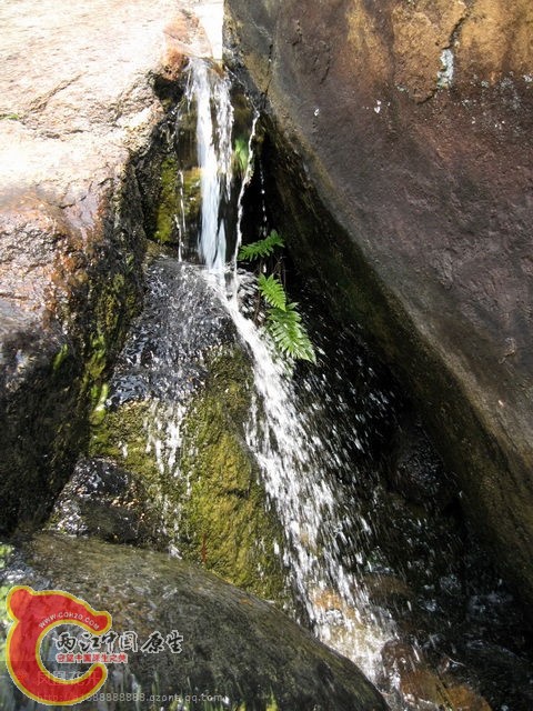 04.jpg