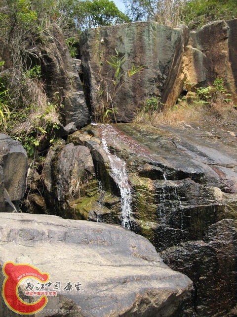 05.jpg