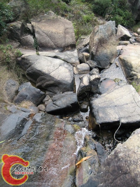 06.jpg
