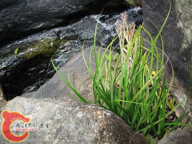 07.jpg