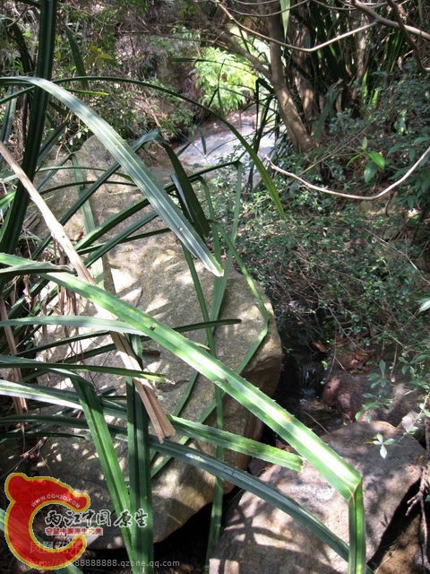 08.jpg