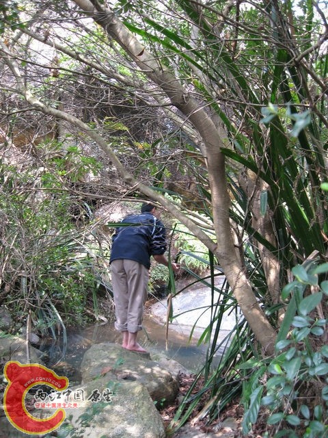 09.jpg