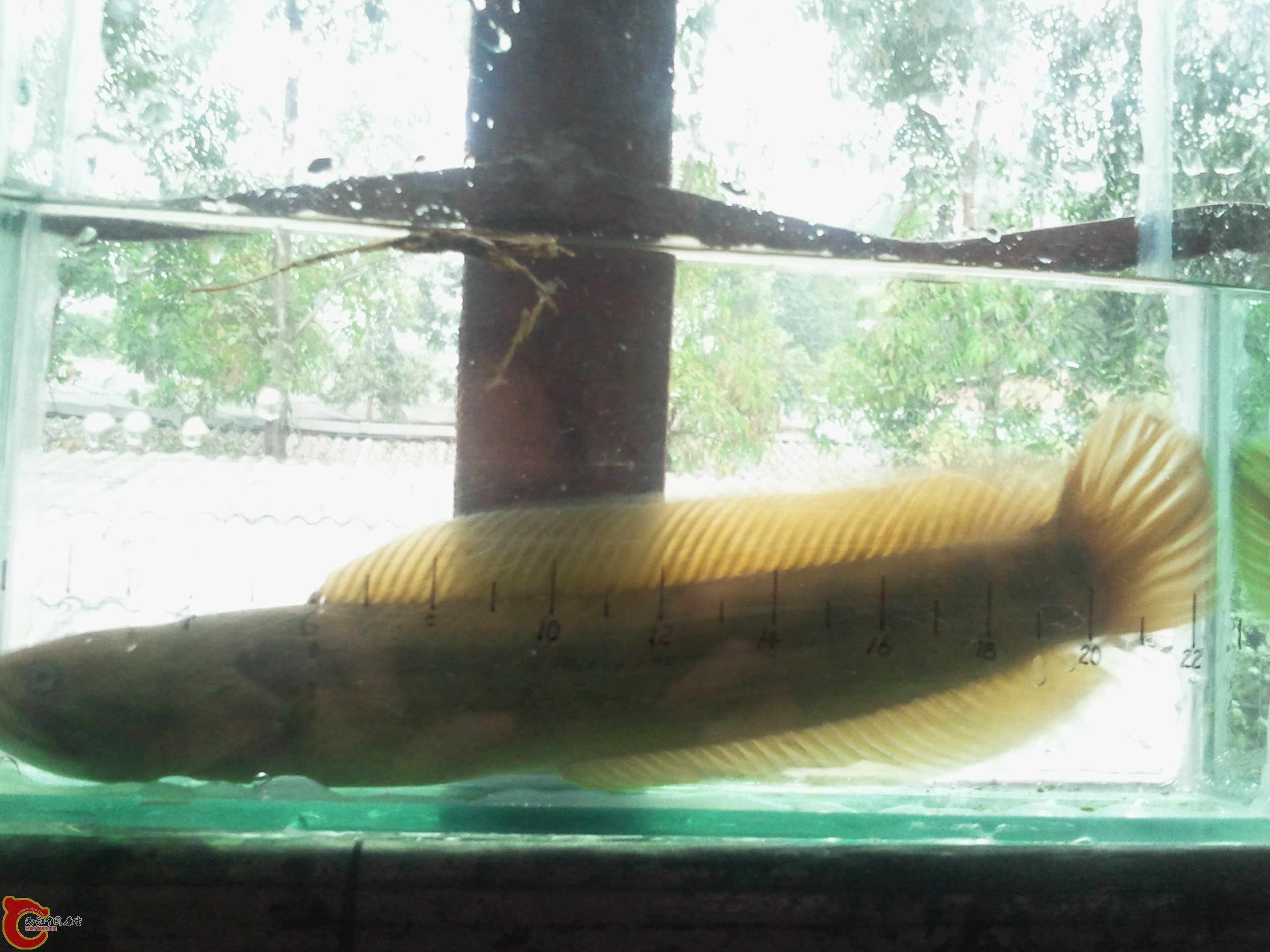 2011-12-05 17.00.49.jpg