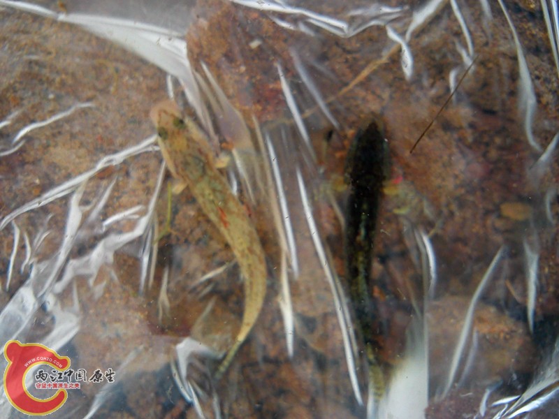 DSC03244_.jpg