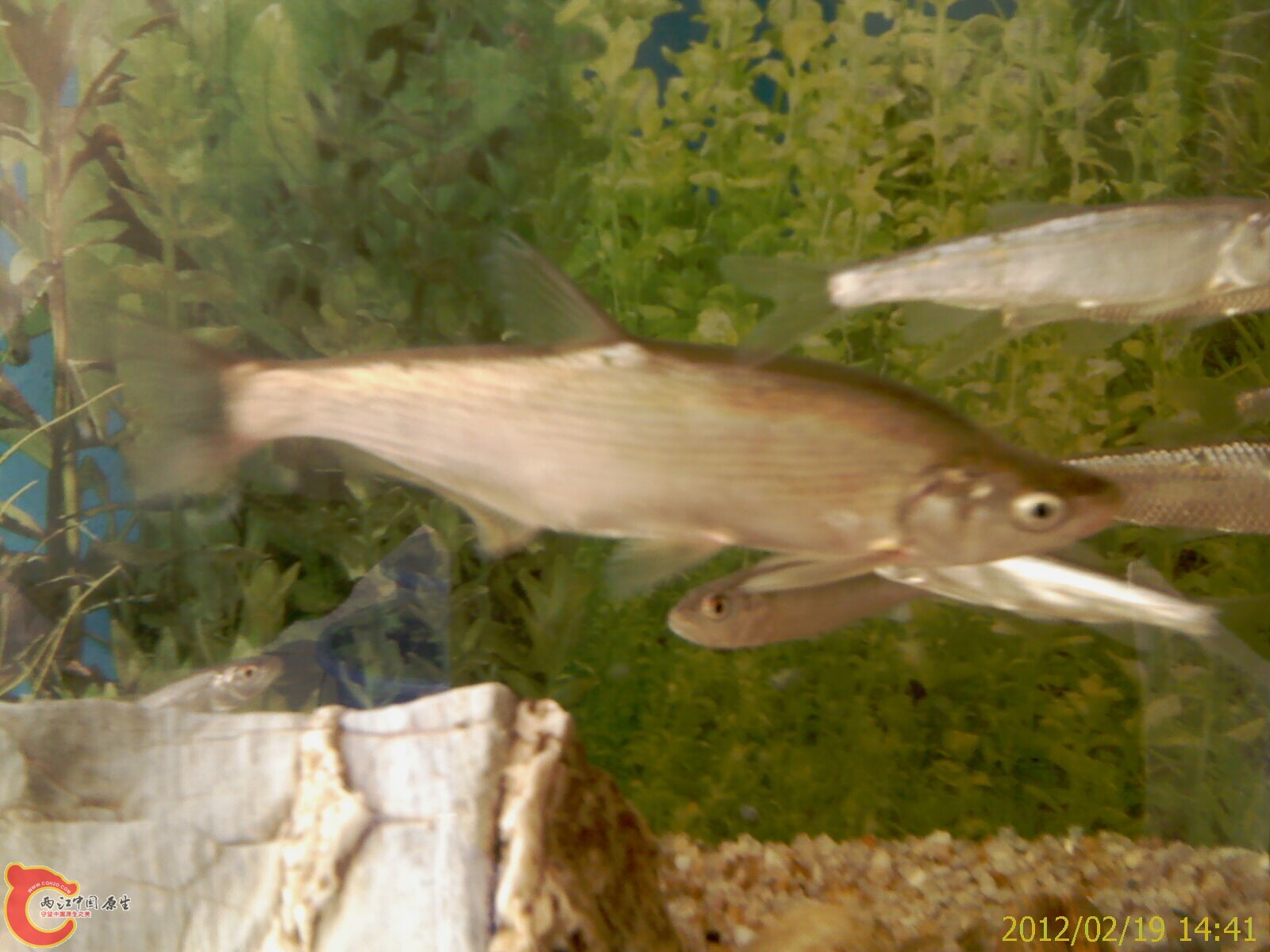 IMAG0356.jpg