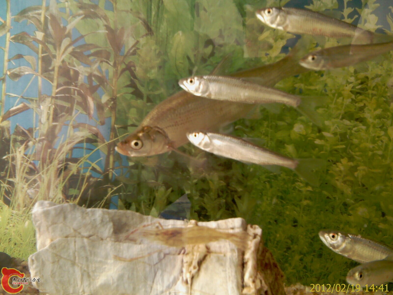 IMAG0357.jpg