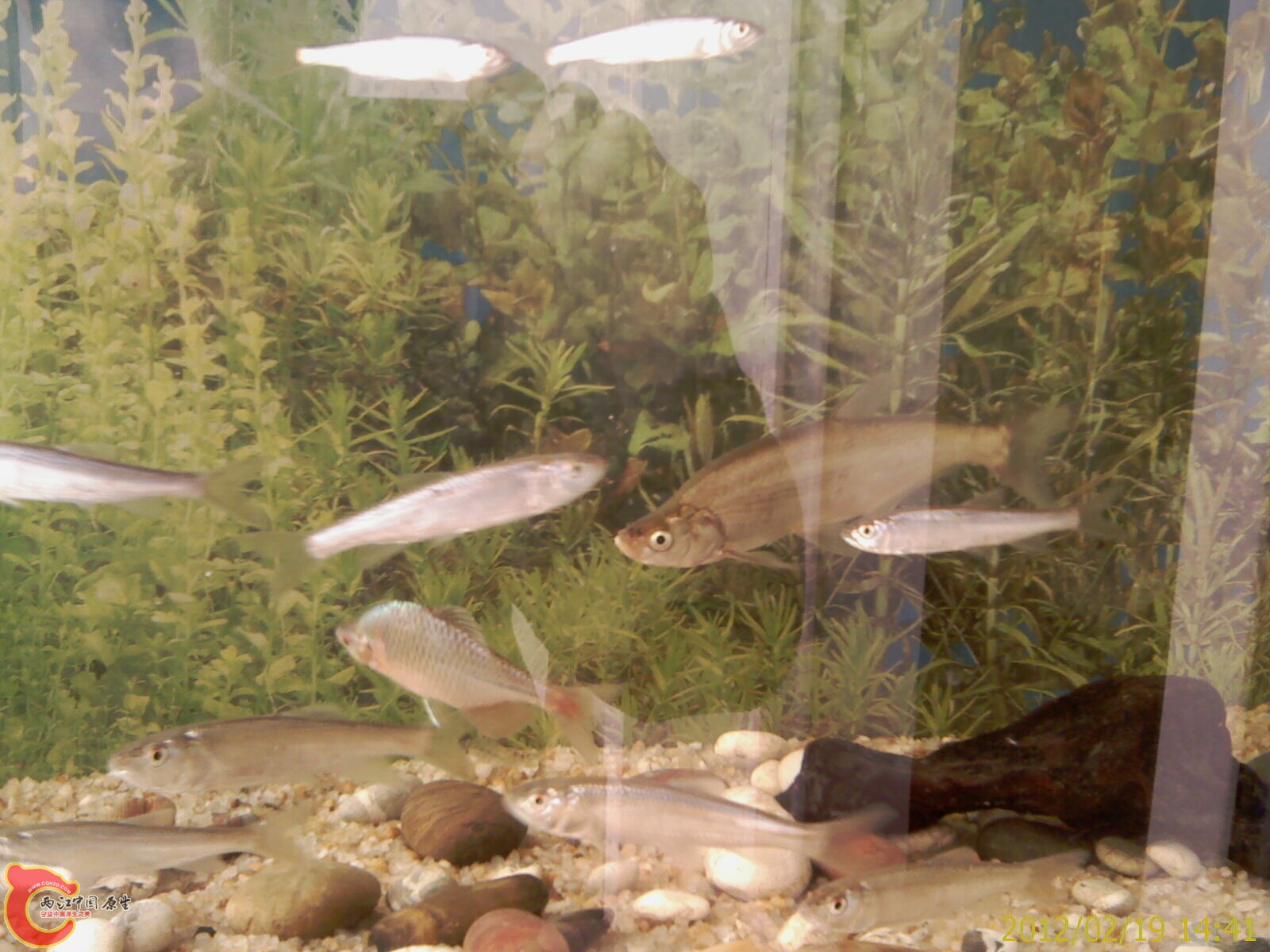 IMAG0359.jpg