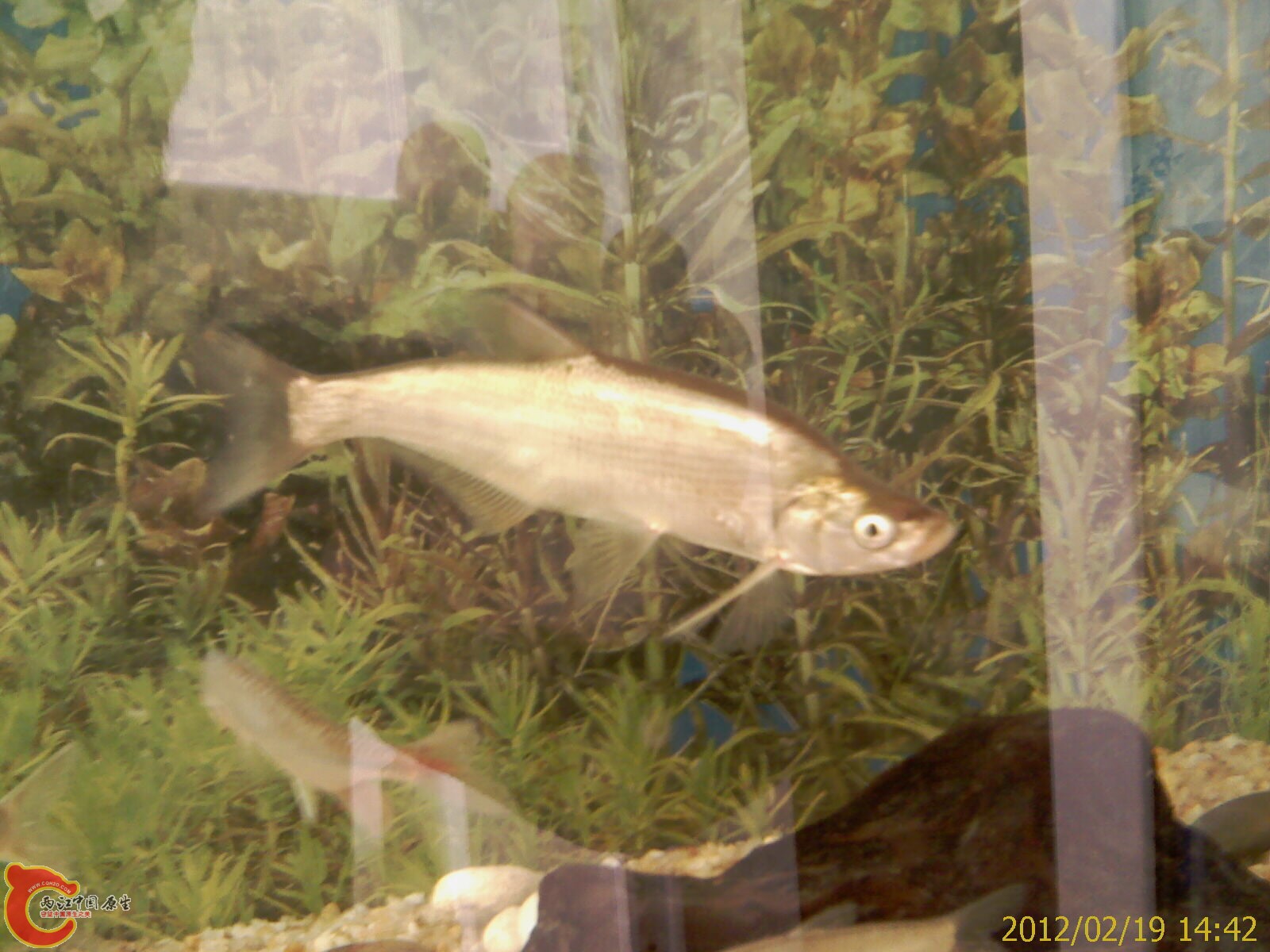 IMAG0364.jpg