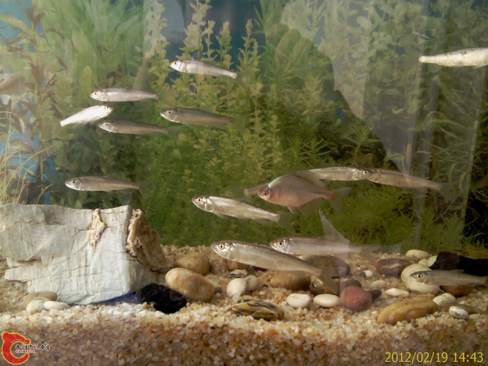 IMAG0366.jpg